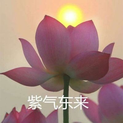 超能特战队满v版下载